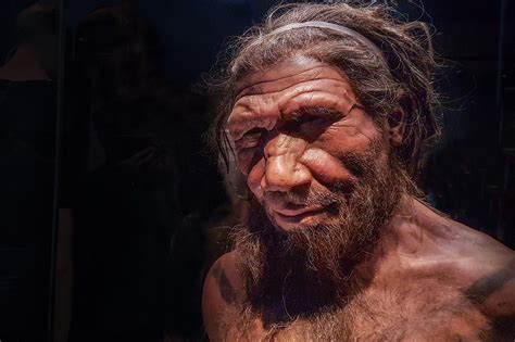 Neanderthals And Humans Had Cave Sex — But Did They Kiss