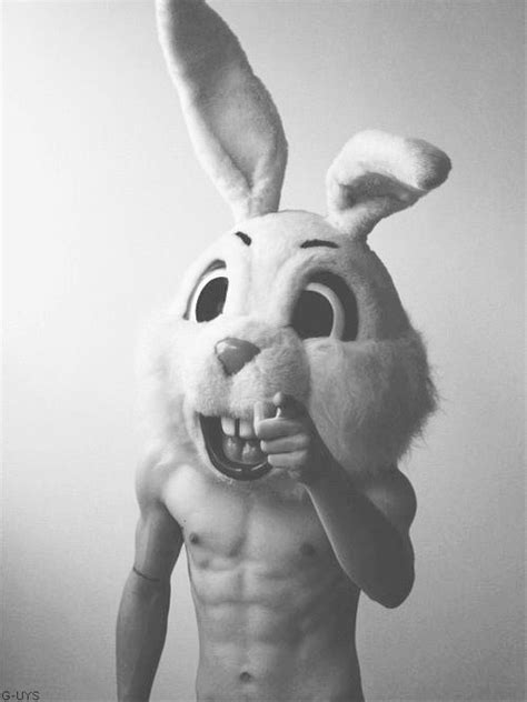 Male Model Bunny Man Bunny Bunny Giant Bunny