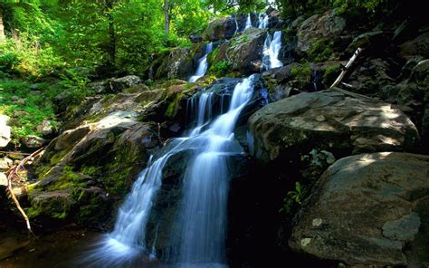 Pequeña Cascada En El Bosque Imágenes Y Fotos Waterfall Wallpaper