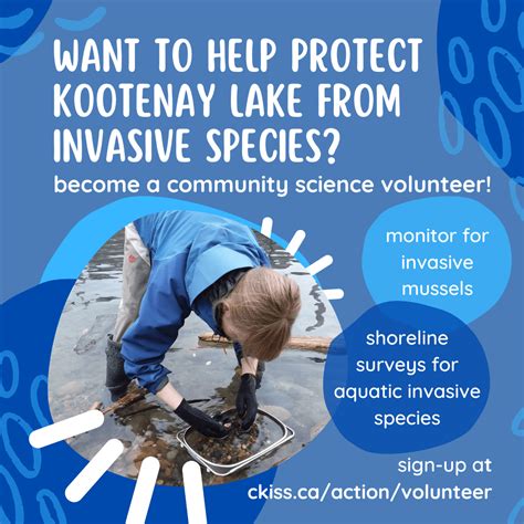 Volunteers Needed To Help Protect Kootenay Lake From Aquatic Invasive