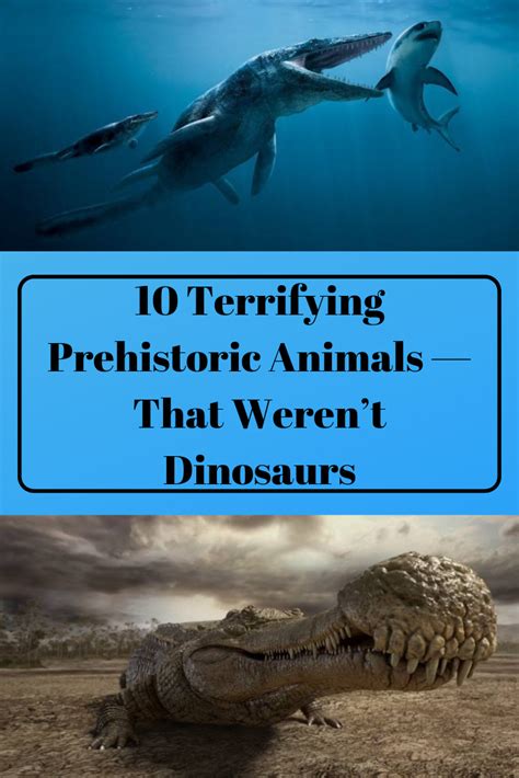 10 Cretaceous Animals That Werent Dinosaurs Prehistoric Prehistoric