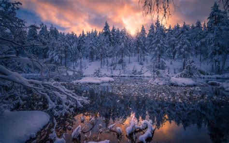 Download Wallpapers Lake Winter Forest Snow Sunset Winter