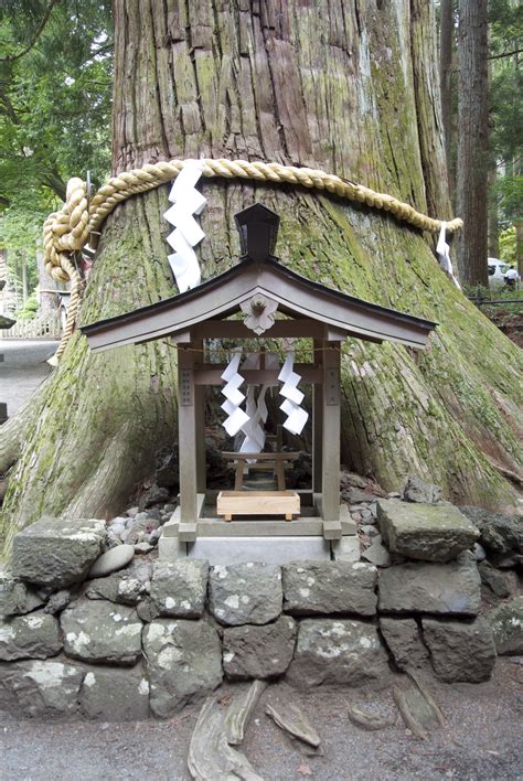 Kala Kshetram Sacred Tree Shrine Japan
