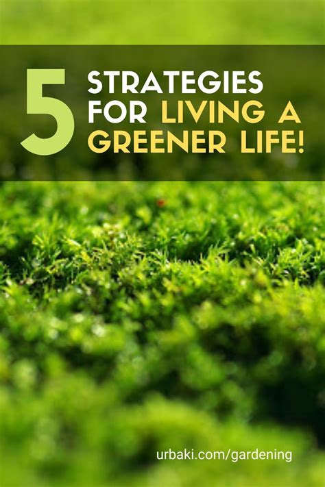 5 Strategies For Living A Greener Life Green Life Life Green