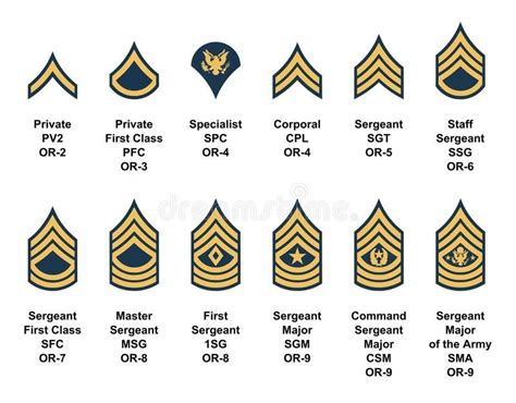 Army Insignia Enlisted Va Guard