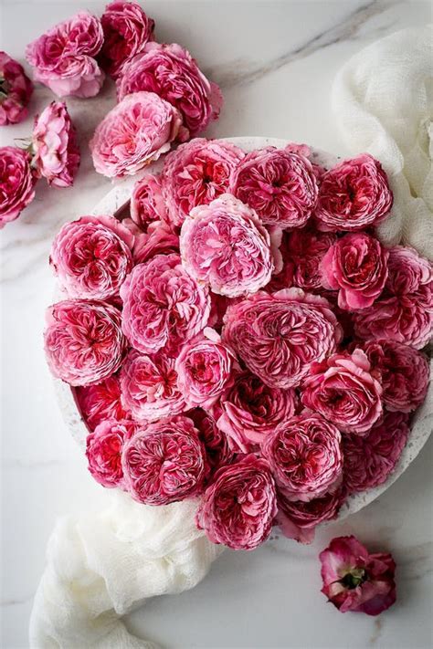 Edible Roses And Rose Petals Stock Photo Image Of Delicious Tasty