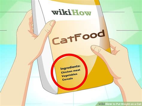 Maybe you would like to learn more about one of these? 3 Ways to Put Weight on a Cat - wikiHow