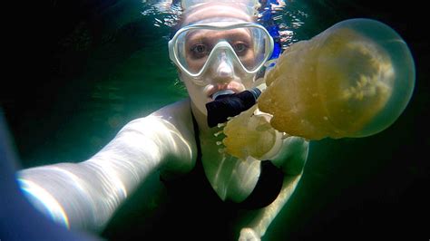 Snorkeling In Jellyfish Lake In Palau Youtube