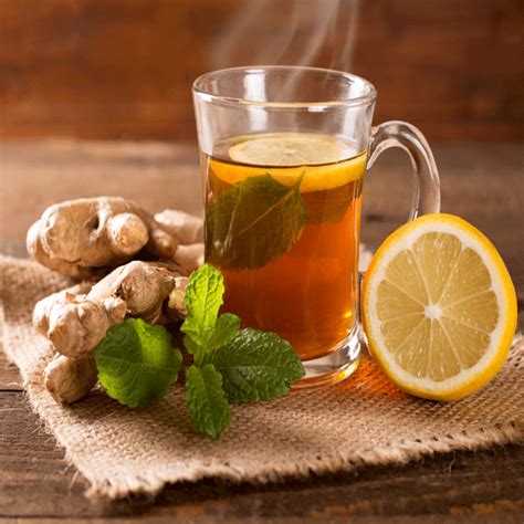 Ginger Lemon Tea Recipe How To Make Ginger Lemon Tea