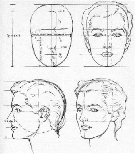 Dibujar Los Rasgos De Un Hombre Dibujar Rostros Como