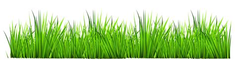 Grass Clipart Image Green Transparent Background Grass Clipart Clip