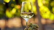 Vino bianco: le etichette da gustare anche in estate - MangiaeBevi