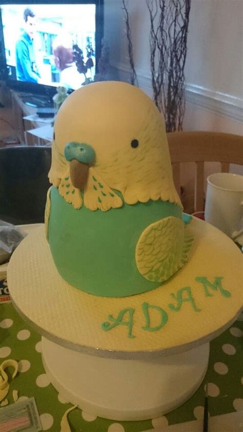 Budgie Bird 🐦 Cake Bird Cakes Budgies Bird Budgies