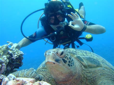 Diving Aitutaki Flickr