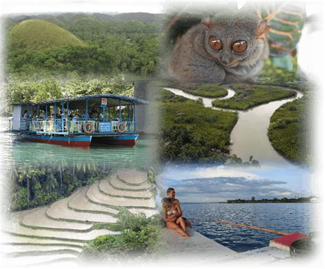 Bohol EcoTourism Destinations - The Best Eco-Tourism Destinations in Bohol Listed here | Info Bohol