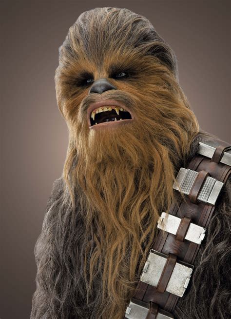 Chewbacca Wookieepedia Fandom Powered By Wikia