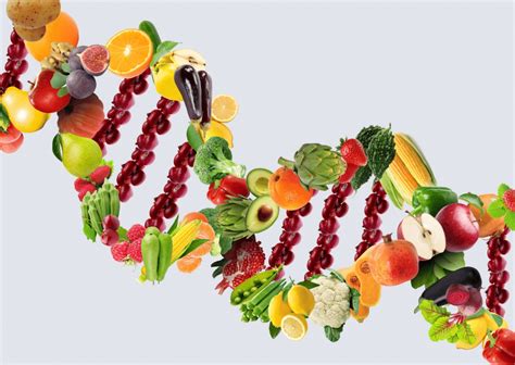 Nutrigenomics And How To Personalize Your Nutrition Bioptimizers Blog