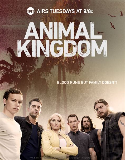 Animal Kingdom Streaming Saison 5 | AUTOMASITES™. Jul 2023