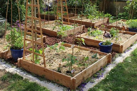 Comment Planifier Et Cultiver Un Potager En Carr S Legume Bio Html Plants Deco Gardens