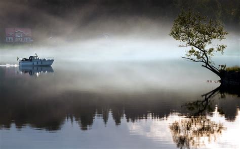 Lake Fog Boat Tree Morning Wallpapers Hd Desktop And Mobile