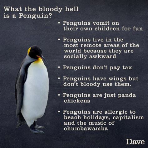 Penguin Infographic Penguin Quotes Penguin Meme Penguin Facts Cute