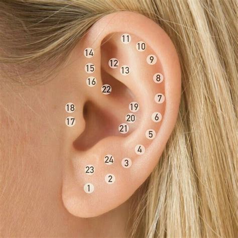 Orelha Helix Piercings Ear Piercing Spots Ear Piercing Diagram