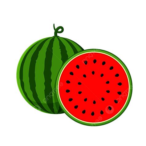 Watermelon Clipart Png Images Watermelon Vector Watermelon With Red