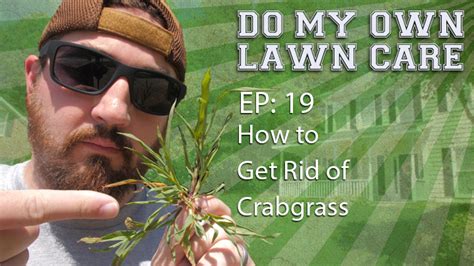 How to treat your own grass. Crabgrass. What is it and how do you get rid of it? Learn all about the pesky week in this week ...