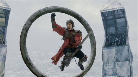 Which Quidditch Position You Should Play Based On Your Chinese Zodiac Sign