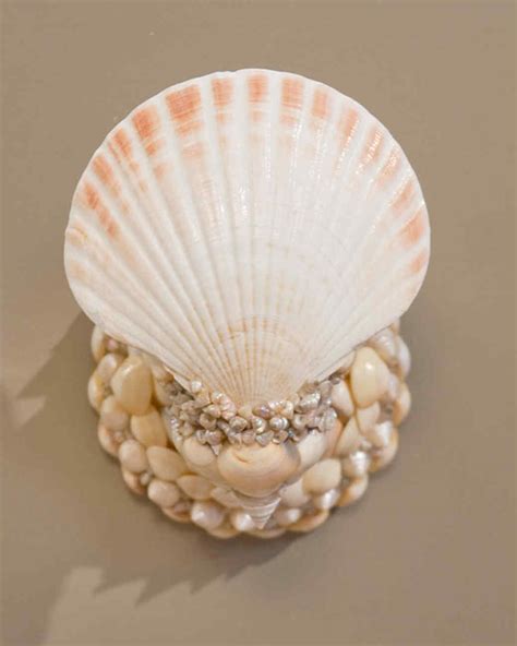 35 Seashell Crafts So Your Summer Memories Will Last A Lifetime