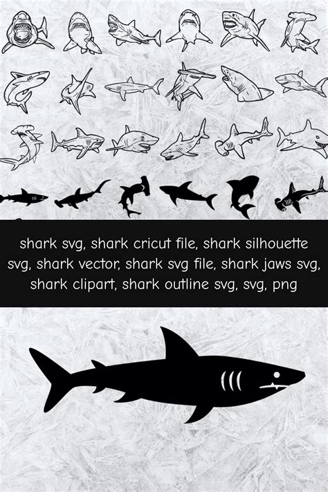 Shark Silhouette Svg Masterbundles