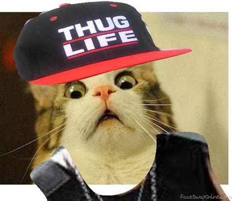 Thug Cat Face Swap Online
