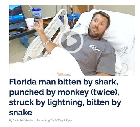 The Story Fanatic The Adventures Of Florida Man