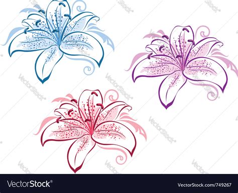 Lily Flower Set Royalty Free Vector Image Vectorstock