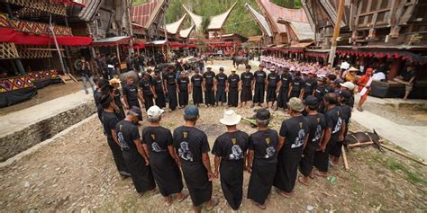 Mengenal Rambu Solo Upacara Pemakaman Adat Toraja Dari Prosesi Hingga Biaya