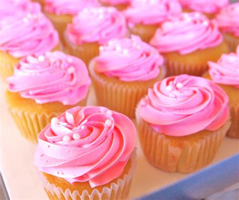 Pretty Pink Cupcake