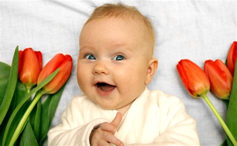 Newborn Baby Girl Boy Laughing Among Red Tulips Stock Photo Download