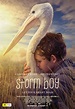 Storm Boy (2019, Australia) - Amalgamated Movies