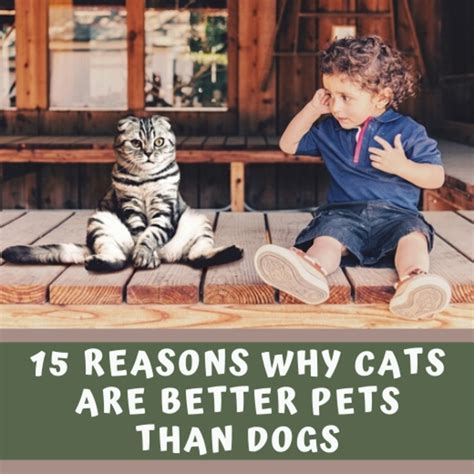 Are Dogs Better For Humans Than Cats