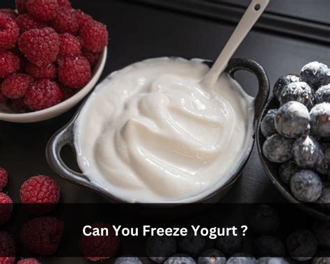 Can You Freeze Yogurt Digital Combination