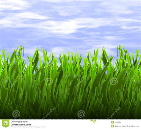 Green Grass And Blue Sky Stock Illustration Illustration