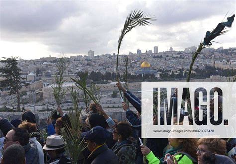 Palmsonntag In Israel Christians Carry Palm And Olive Branches During