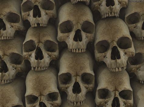 Follow the vibe and change your wallpaper every day! Free 3D Skull Wallpapers - Wallpaper Cave