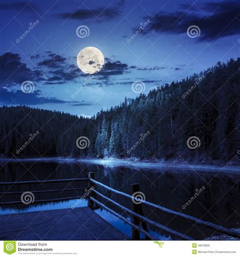 Pine Forest And Lake Near The Mountain At Night Stock