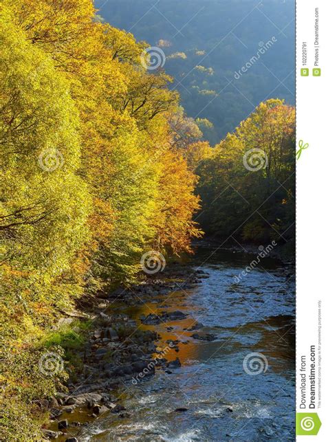Beautiful Autumn Forest Landscape Near Lake And Idyllic Trees