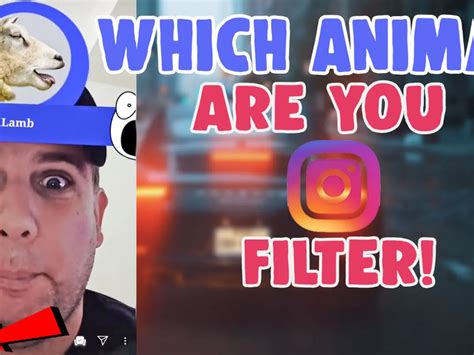 What Animal Are You Filter Tiktok Tutorialdeexcelavanzado