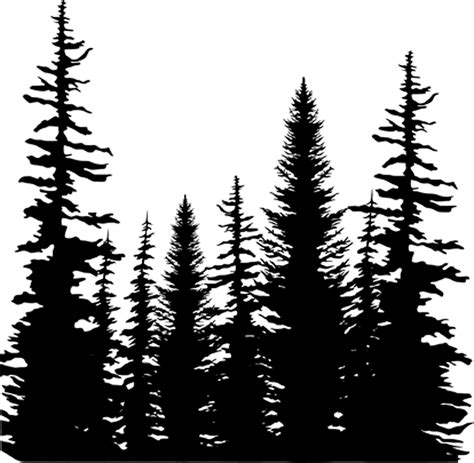 Tall Pine Tree Clip Art Black And White Poppy Artx
