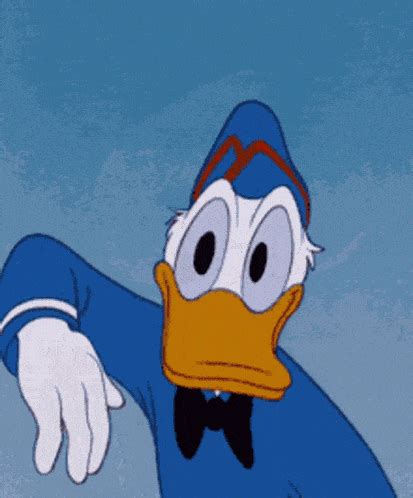 Donald Duck Disney Aye Aye Captain Salute GIF GIFDB Com
