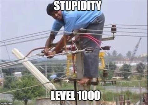 Image Tagged In Stupidity Imgflip
