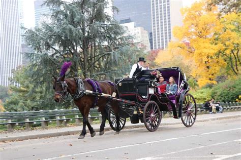 New York City Romantic Central Park Carriage Ride Getyourguide